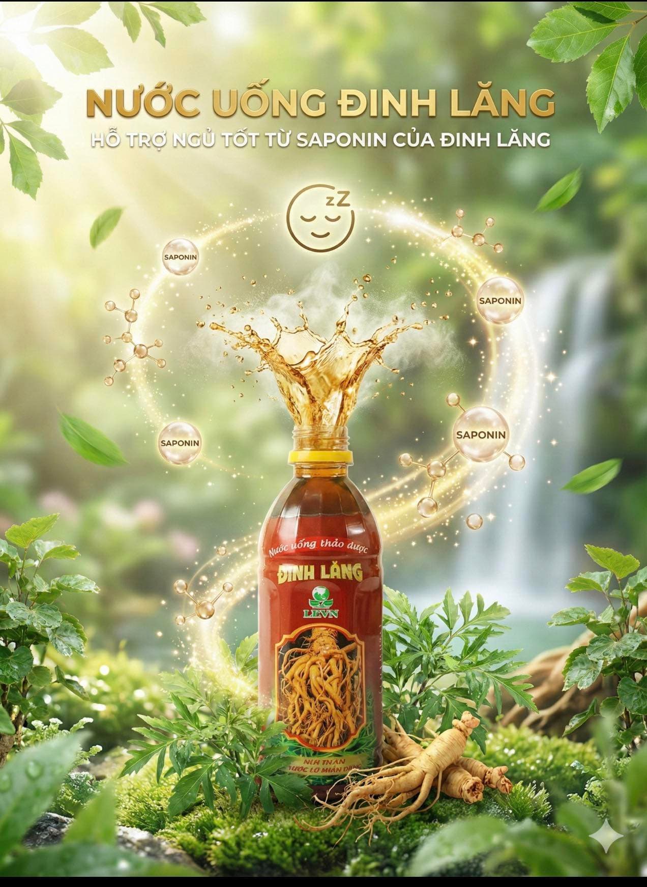 NƯỚC UỐNG THẢO DƯỢC ĐINH LĂNG